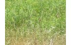 Property photo 10 - 385+/- Contiguous Acres Offered in 7 Tracts