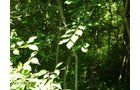 Property photo 23 - 385+/- Contiguous Acres Offered in 7 Tracts