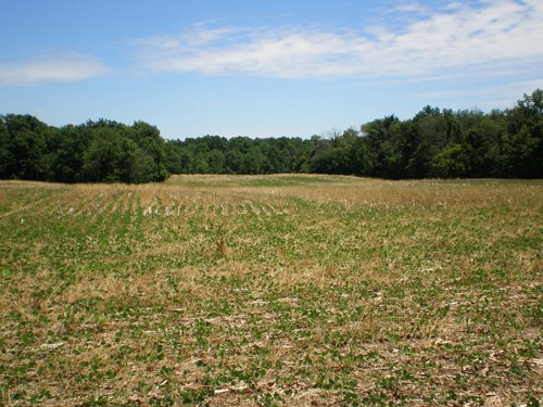 Property photo 64 - 385+/- Contiguous Acres Offered in 7 Tracts