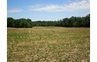 Property photo 64 - 385+/- Contiguous Acres Offered in 7 Tracts