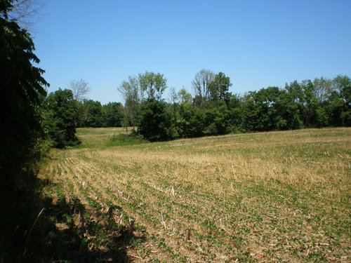 Property photo 6 - 385+/- Contiguous Acres Offered in 7 Tracts