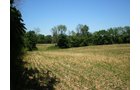 Property photo 6 - 385+/- Contiguous Acres Offered in 7 Tracts