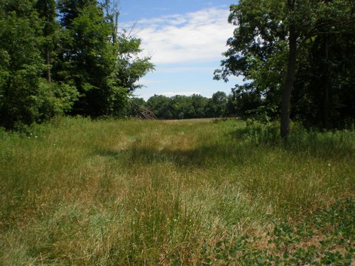 Property photo 55 - 385+/- Contiguous Acres Offered in 7 Tracts