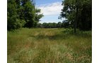 Property photo 55 - 385+/- Contiguous Acres Offered in 7 Tracts