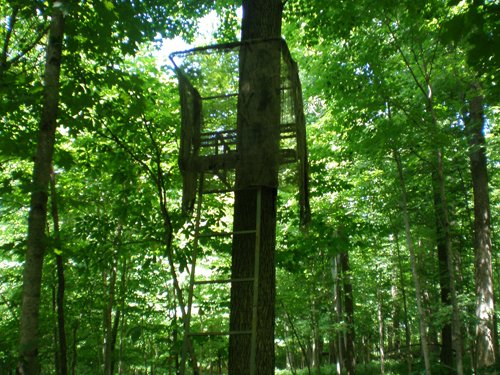 Property photo 16 - 385+/- Contiguous Acres Offered in 7 Tracts
