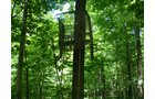 Property photo 16 - 385+/- Contiguous Acres Offered in 7 Tracts