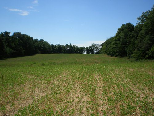 Property photo 32 - 385+/- Contiguous Acres Offered in 7 Tracts