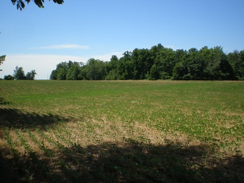 Property photo 59 - 385+/- Contiguous Acres Offered in 7 Tracts