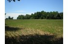 Property photo 59 - 385+/- Contiguous Acres Offered in 7 Tracts
