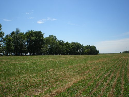Property photo 22 - 385+/- Contiguous Acres Offered in 7 Tracts
