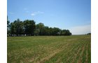 Property photo 22 - 385+/- Contiguous Acres Offered in 7 Tracts