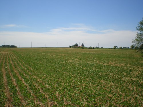Property photo 77 - 385+/- Contiguous Acres Offered in 7 Tracts