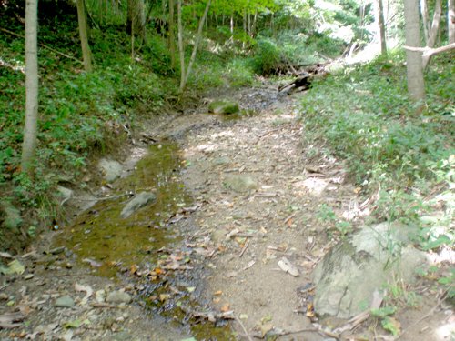 Property photo 62 - 385+/- Contiguous Acres Offered in 7 Tracts