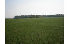 Property photo 72 - 385+/- Contiguous Acres Offered in 7 Tracts