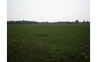 Property photo 39 - 385+/- Contiguous Acres Offered in 7 Tracts