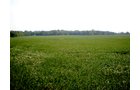 Property photo 70 - 385+/- Contiguous Acres Offered in 7 Tracts