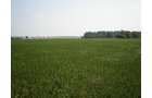 Property photo 61 - 385+/- Contiguous Acres Offered in 7 Tracts