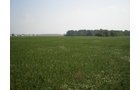 Property photo 13 - 385+/- Contiguous Acres Offered in 7 Tracts