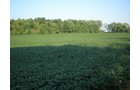 Property photo 44 - 385+/- Contiguous Acres Offered in 7 Tracts