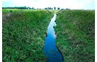 Property photo 1 - 39.618 Acre Land Auction Offered in 2 Tracts