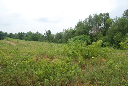 Tract 1 - 22+ Acres Commercial and Residential Offered in 5 Tracts