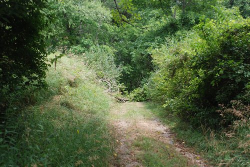 Tract 1 - 22+ Acres Commercial and Residential Offered in 5 Tracts