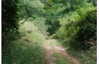 Tract 1 - 22+ Acres Commercial and Residential Offered in 5 Tracts