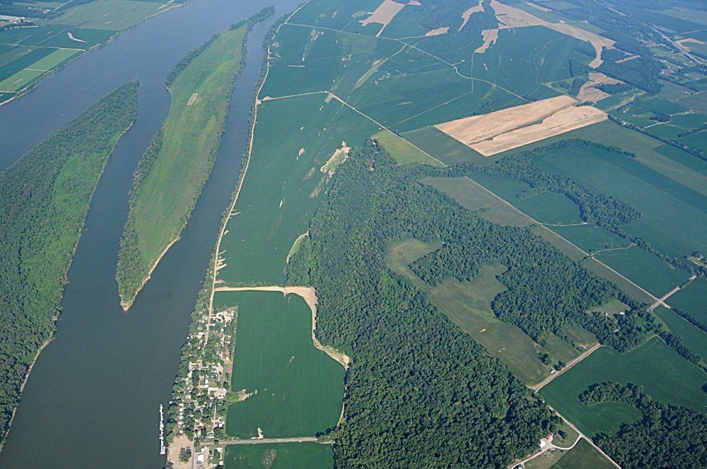 Property photo 21 - 1,288 Acre Land Auction in 19 Tracts. 903 Tillable Acres and Mature Timber