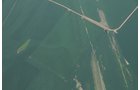 Property photo 8 - 1,288 Acre Land Auction in 19 Tracts. 903 Tillable Acres and Mature Timber