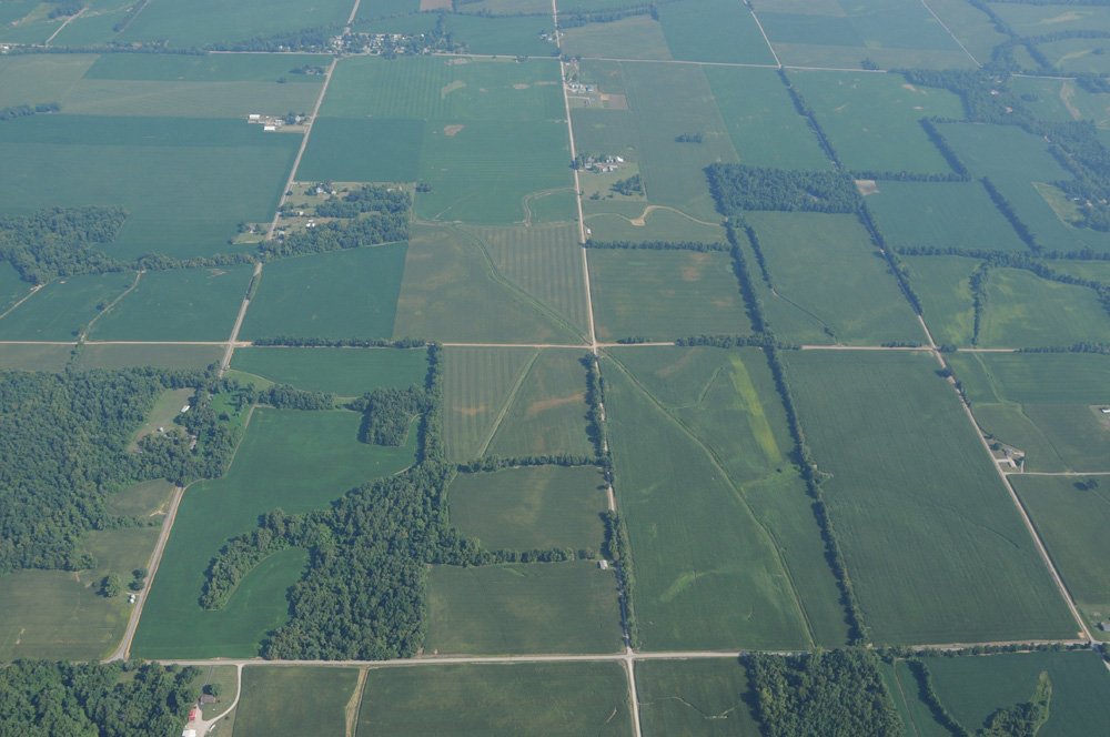 Property photo 50 - 1,288 Acre Land Auction in 19 Tracts. 903 Tillable Acres and Mature Timber