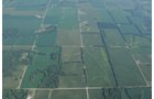 Property photo 50 - 1,288 Acre Land Auction in 19 Tracts. 903 Tillable Acres and Mature Timber