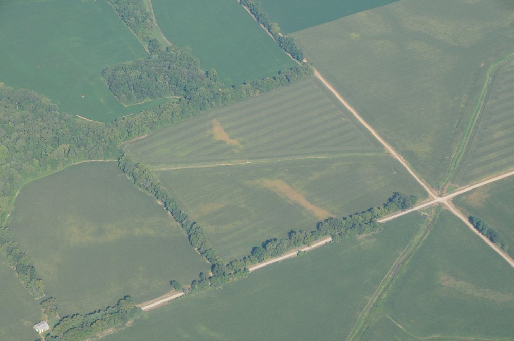 Property photo 3 - 1,288 Acre Land Auction in 19 Tracts. 903 Tillable Acres and Mature Timber