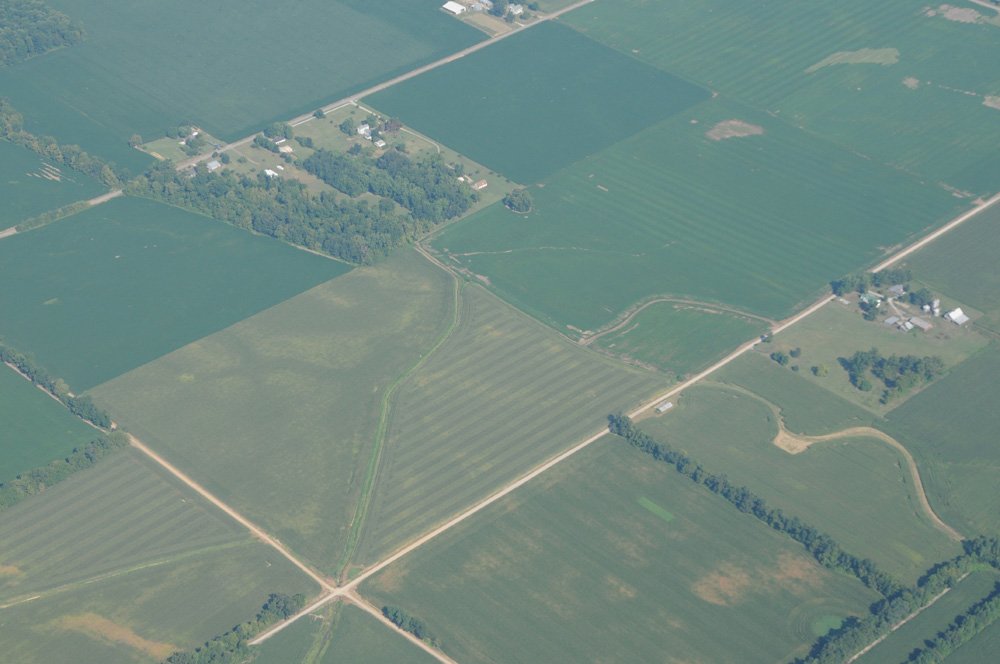 Property photo 42 - 1,288 Acre Land Auction in 19 Tracts. 903 Tillable Acres and Mature Timber