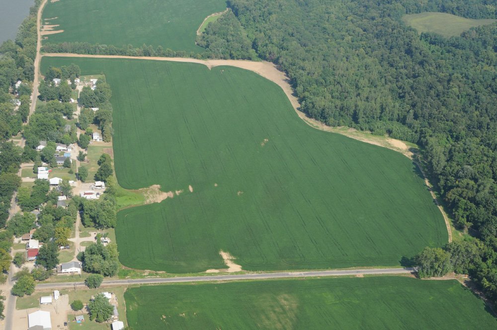 Property photo 33 - 1,288 Acre Land Auction in 19 Tracts. 903 Tillable Acres and Mature Timber