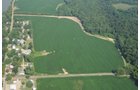 Property photo 33 - 1,288 Acre Land Auction in 19 Tracts. 903 Tillable Acres and Mature Timber