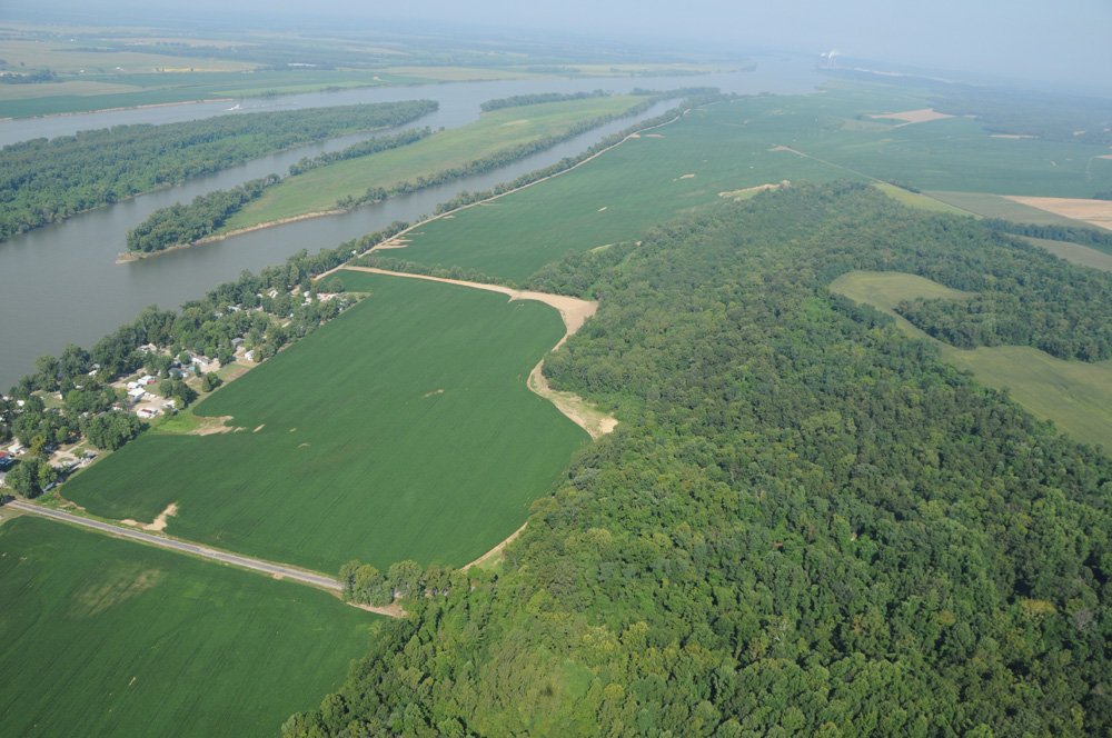 Property photo 26 - 1,288 Acre Land Auction in 19 Tracts. 903 Tillable Acres and Mature Timber