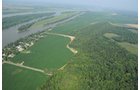 Property photo 26 - 1,288 Acre Land Auction in 19 Tracts. 903 Tillable Acres and Mature Timber