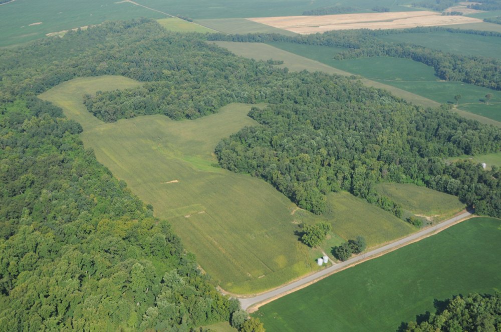 Property photo 4 - 1,288 Acre Land Auction in 19 Tracts. 903 Tillable Acres and Mature Timber