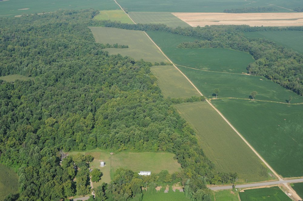 Property photo 39 - 1,288 Acre Land Auction in 19 Tracts. 903 Tillable Acres and Mature Timber