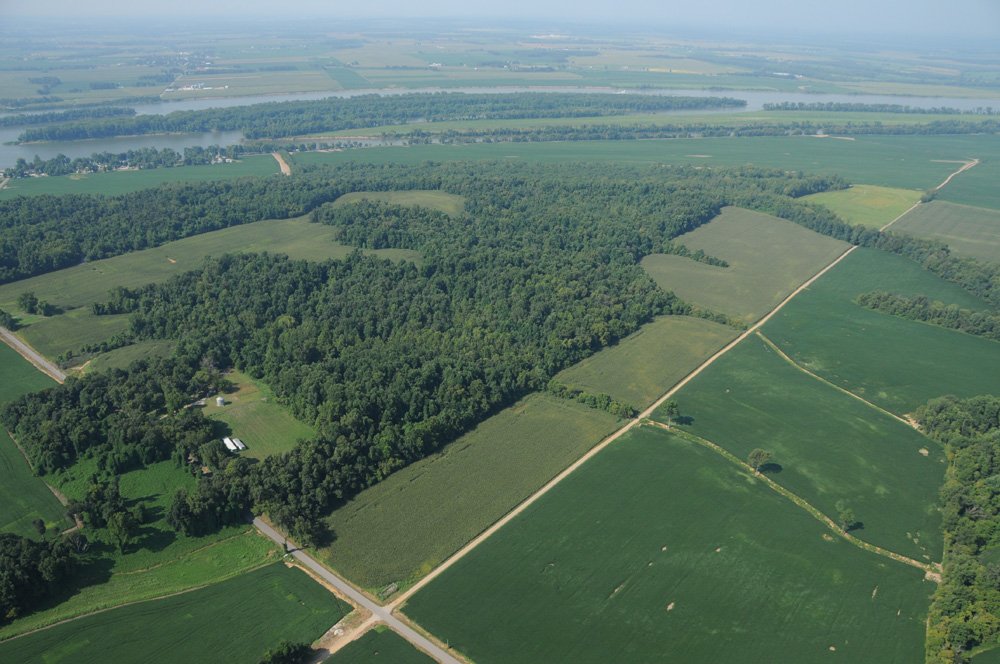 Property photo 40 - 1,288 Acre Land Auction in 19 Tracts. 903 Tillable Acres and Mature Timber