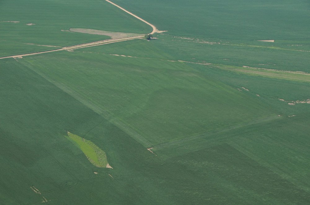 Property photo 45 - 1,288 Acre Land Auction in 19 Tracts. 903 Tillable Acres and Mature Timber