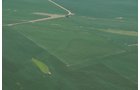 Property photo 45 - 1,288 Acre Land Auction in 19 Tracts. 903 Tillable Acres and Mature Timber