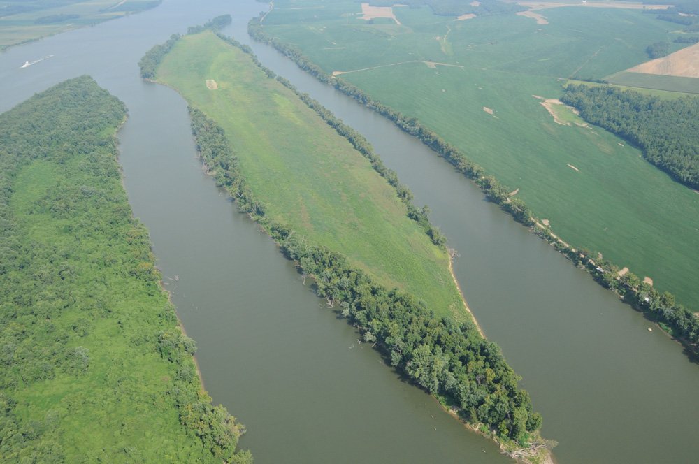 Property photo 22 - 1,288 Acre Land Auction in 19 Tracts. 903 Tillable Acres and Mature Timber