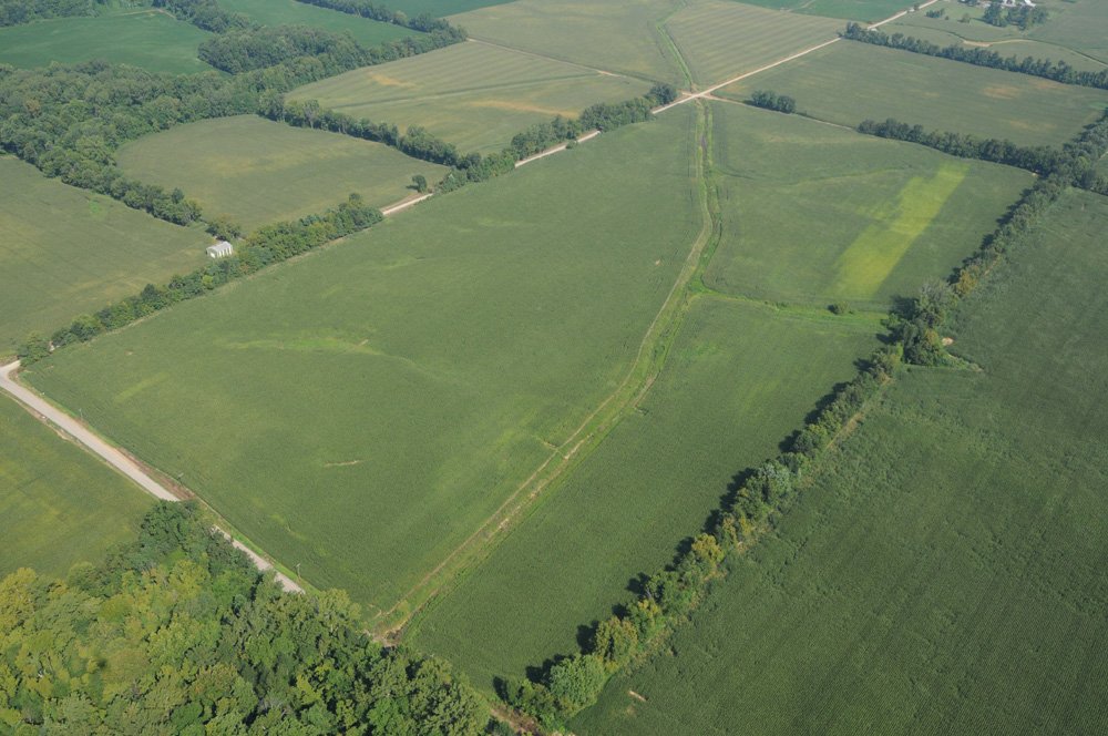 Property photo 11 - 1,288 Acre Land Auction in 19 Tracts. 903 Tillable Acres and Mature Timber