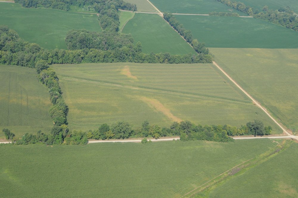 Property photo 16 - 1,288 Acre Land Auction in 19 Tracts. 903 Tillable Acres and Mature Timber