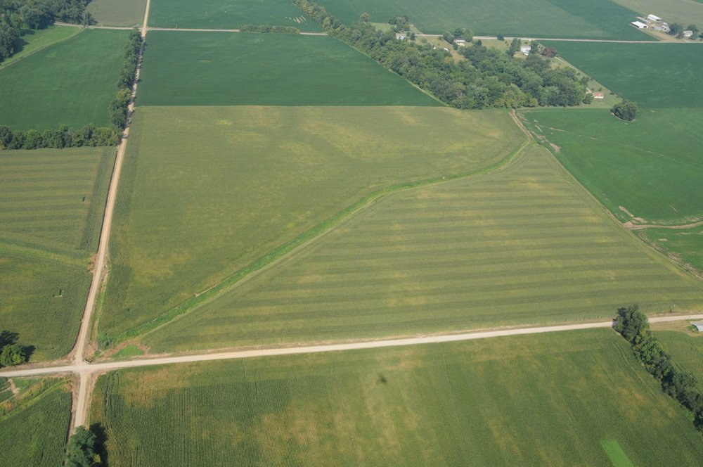 Property photo 18 - 1,288 Acre Land Auction in 19 Tracts. 903 Tillable Acres and Mature Timber