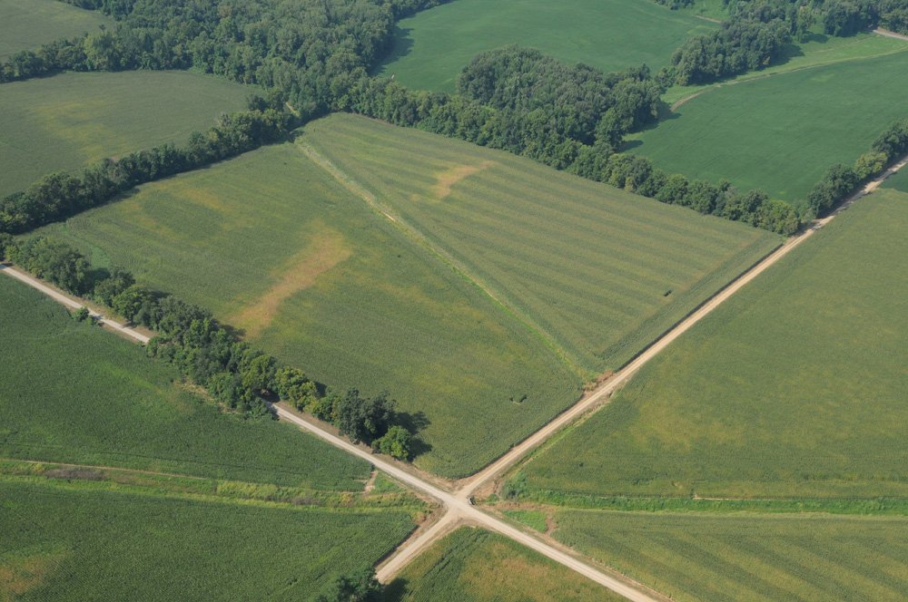 Property photo 10 - 1,288 Acre Land Auction in 19 Tracts. 903 Tillable Acres and Mature Timber