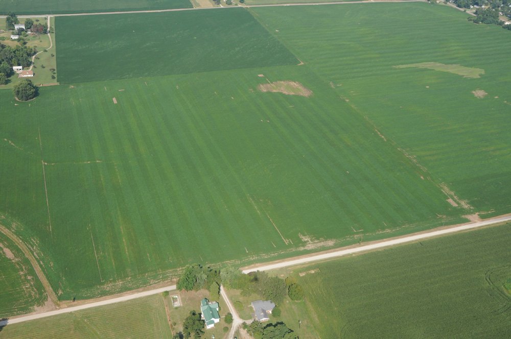 Property photo 37 - 1,288 Acre Land Auction in 19 Tracts. 903 Tillable Acres and Mature Timber