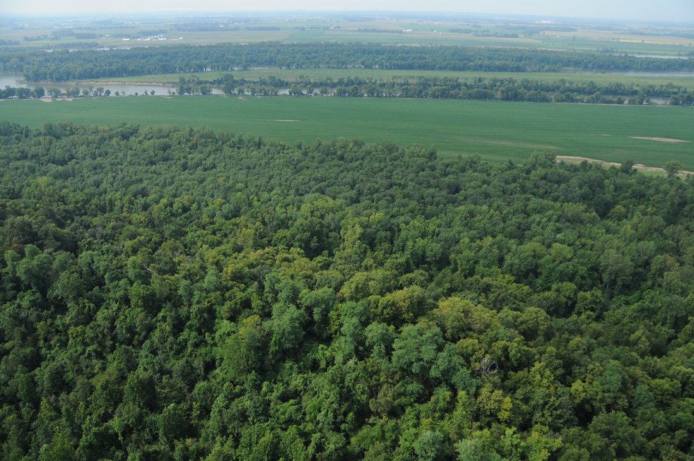 Property photo 7 - 1,288 Acre Land Auction in 19 Tracts. 903 Tillable Acres and Mature Timber