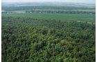 Property photo 7 - 1,288 Acre Land Auction in 19 Tracts. 903 Tillable Acres and Mature Timber